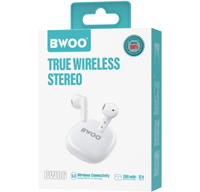 BW06 Écouteurs intra-auriculaires sans fil BT V5.3